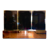 Display cabinet by Renato Zevi