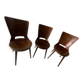 Chaises Bauman Dove