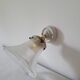 Porcelain wall lamp and Holophane style glass