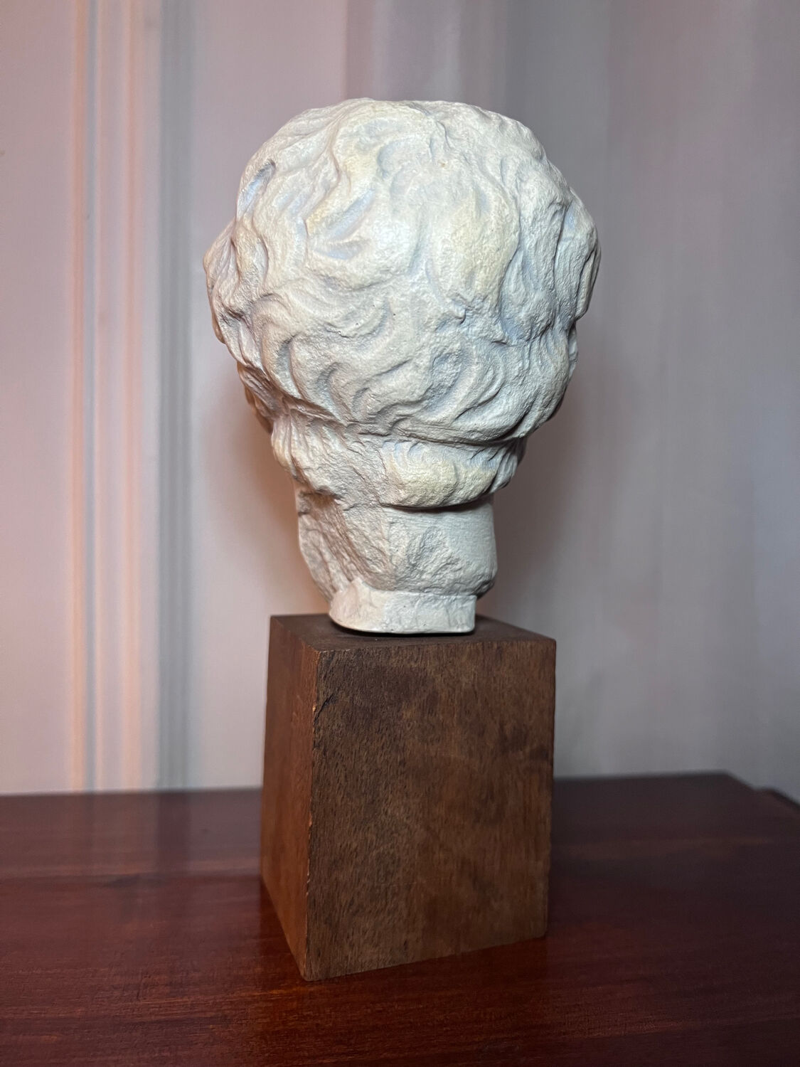 Bust, head of a young man - reproduction from the museum of Sens