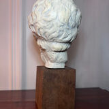 Bust, head of a young man - reproduction from the museum of Sens