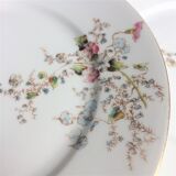 Porcelain plates from Limoges