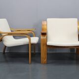 1970s Pair of Rare Restored Armchairs in the Style of Marco Zanuso, Czechoslovakia