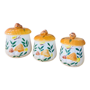 ensemble 3 pots champignons