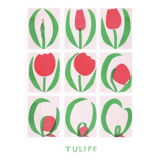 Poster, Tulip