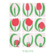 Poster, Tulip