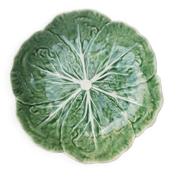 Cabbage leaf slurry plate