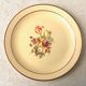 Set de 12 assiettes plates faïence de Salins