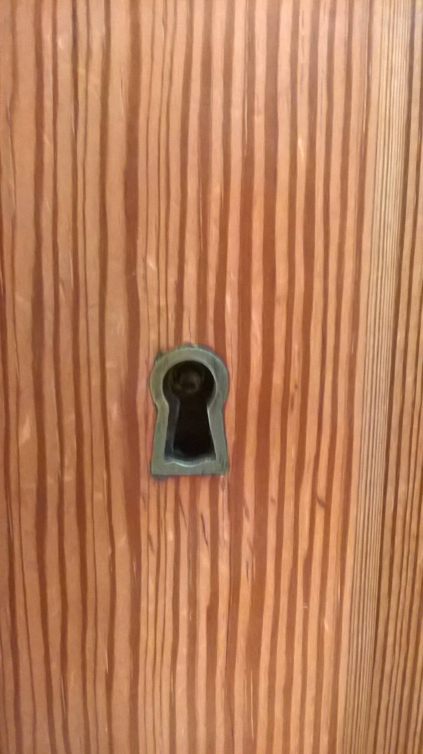 Pairs doors vintage year 60