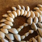 Under flat vintage shells