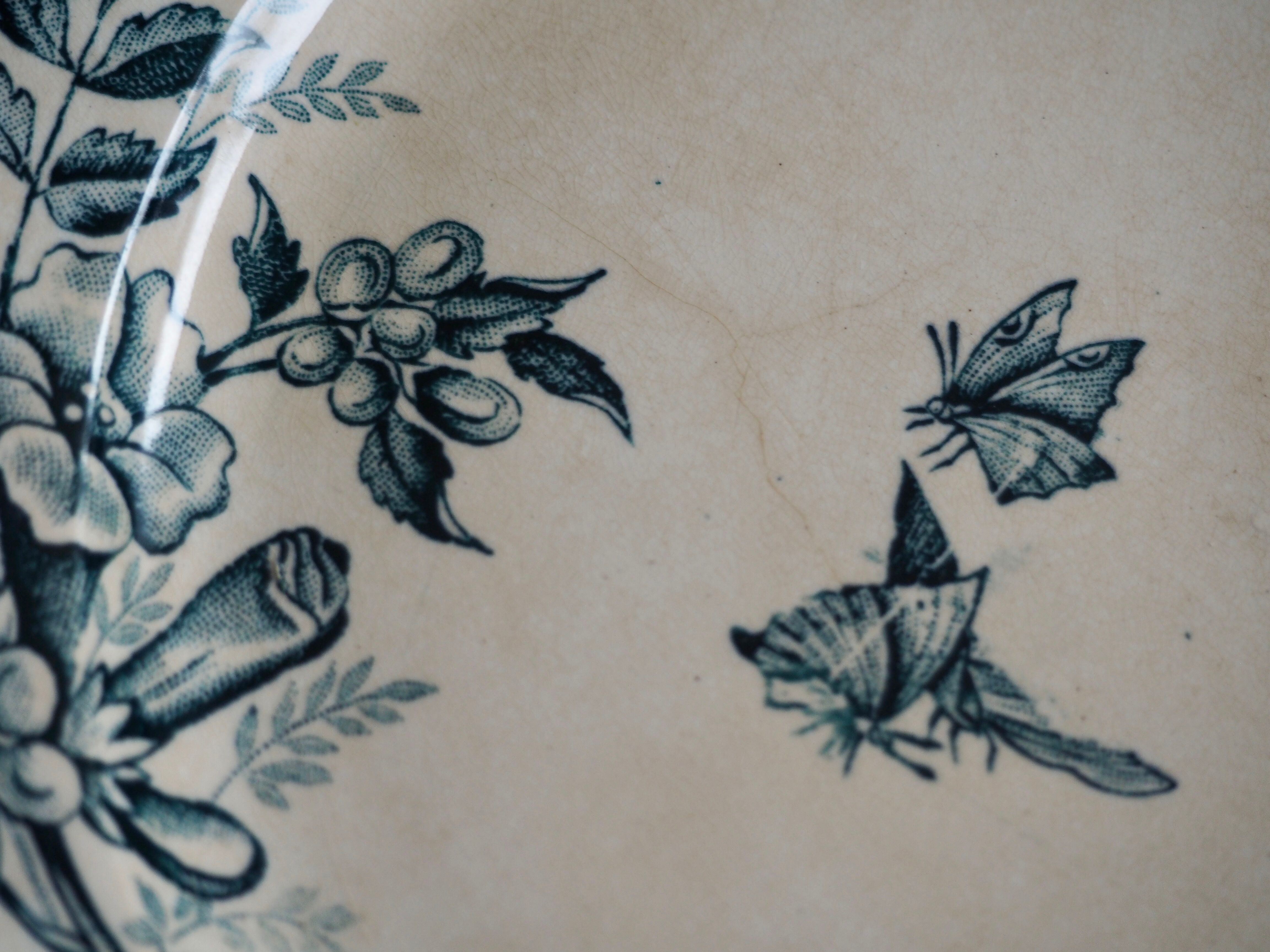 Old Badonviller Plates