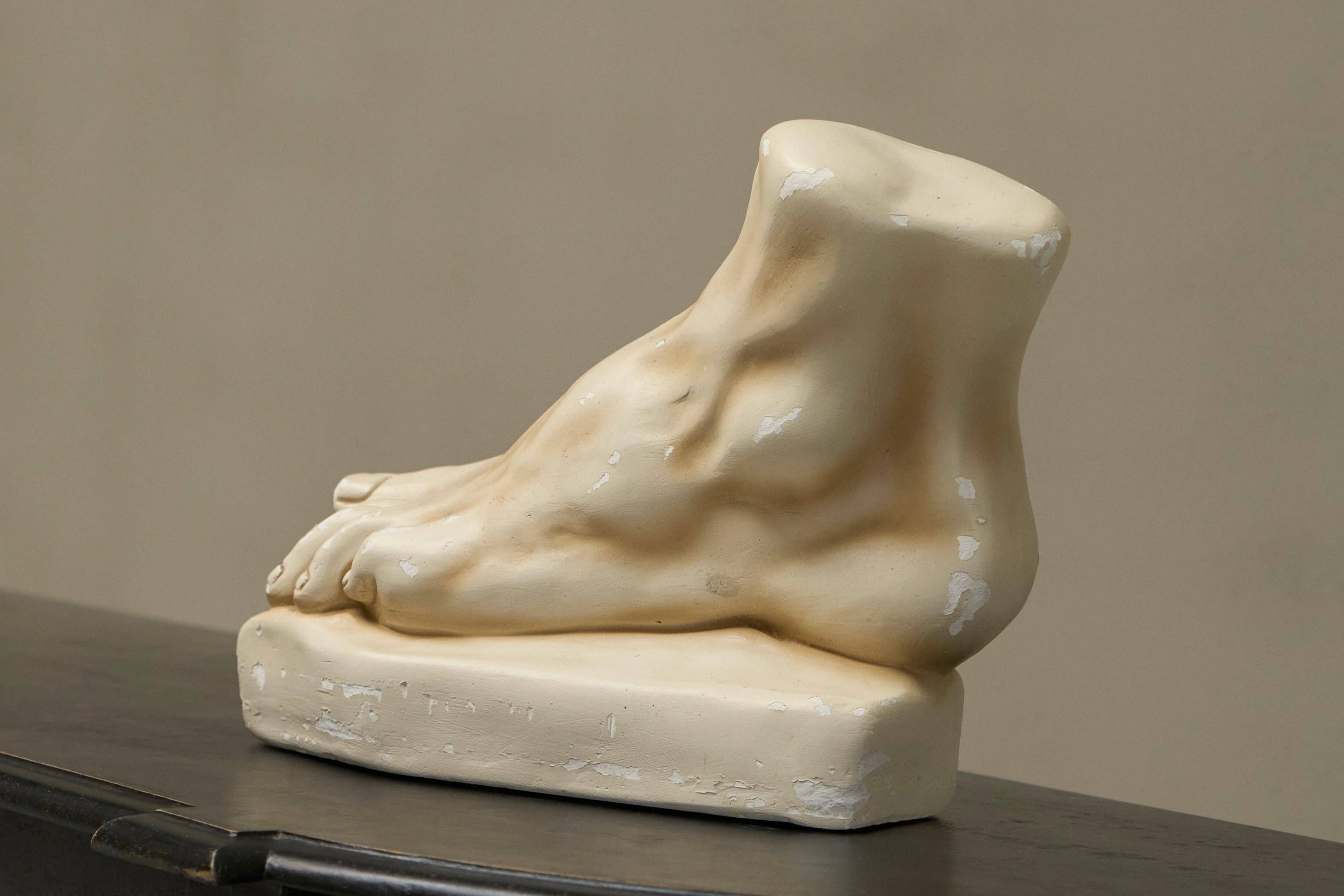 Anatomical study of a plaster foot from the 1950s.