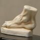Anatomical study of a plaster foot from the 1950s.