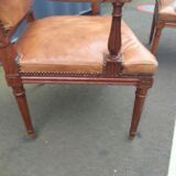 Paire de fauteuils anciens style Louis XVl