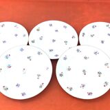 5 antique porcelain flat plates PN France
