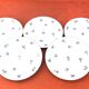 5 assiettes plates anciennes Porcelaine P.N France