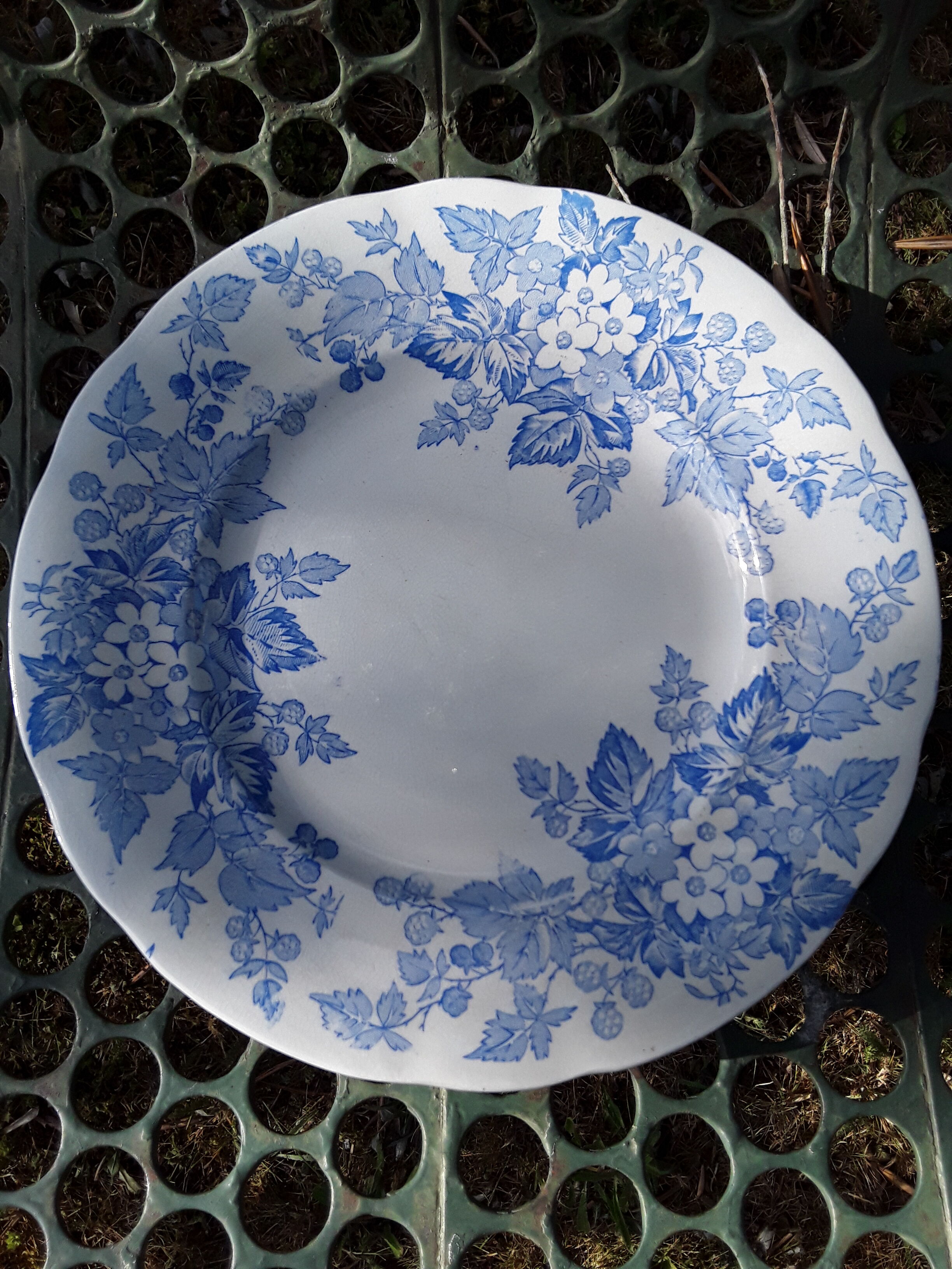 6 plates Sarreguemines Iron Land