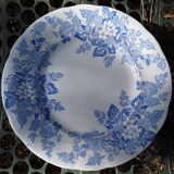 6 plates Sarreguemines Iron Land