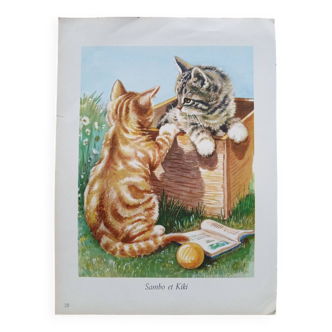 Zoological poster - gray and red tabby kittens
