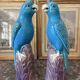 Rare pair of enamelled Chinese porcelain cockatoo parrots.