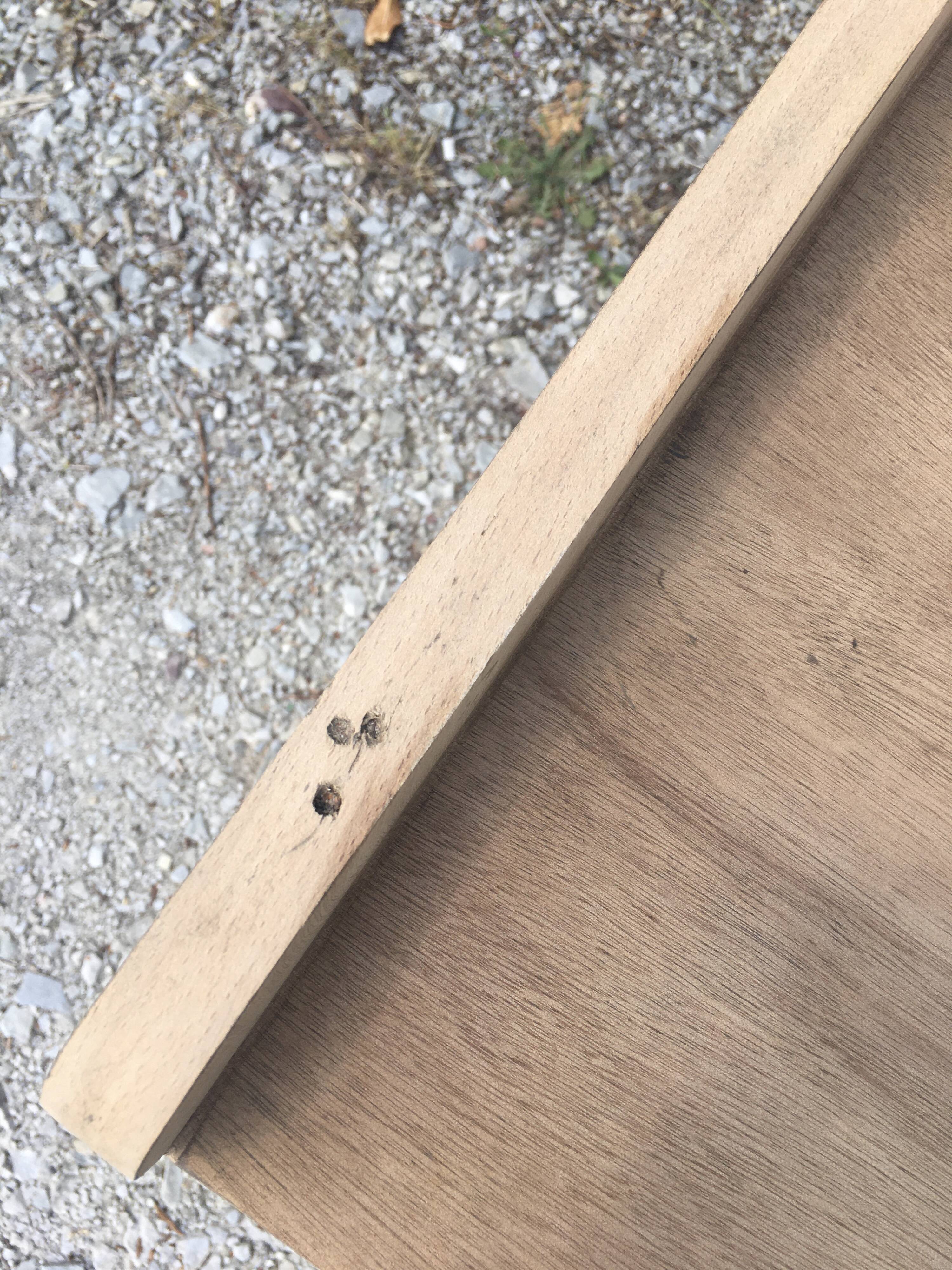 Parisian buffet feet compass raw wood