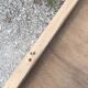 Parisian buffet feet compass raw wood