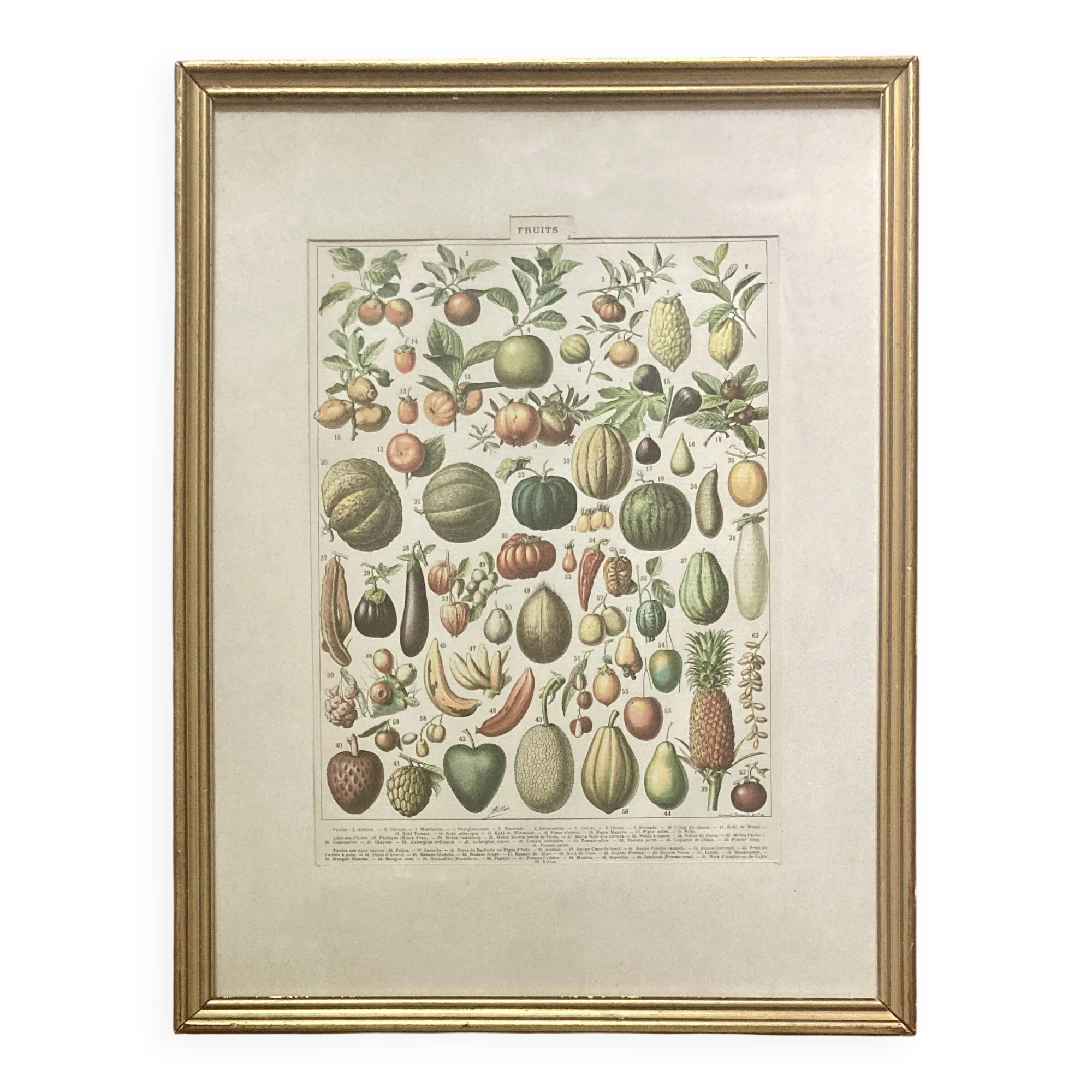Golden frame - the Fruits - kitchen decor