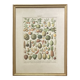 Golden frame - the Fruits - kitchen decor