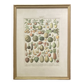Golden frame - the Fruits - kitchen decor