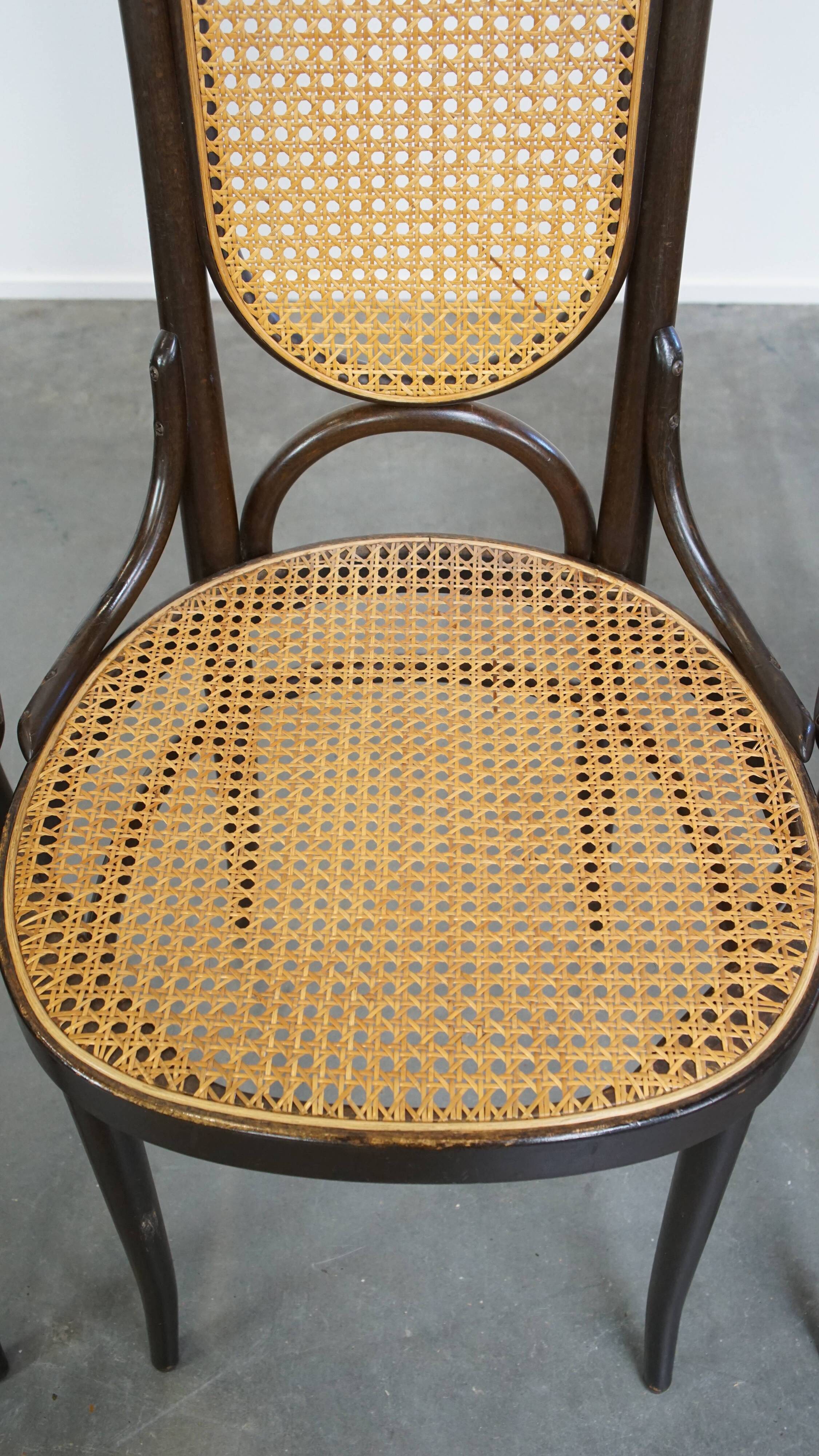 Lot de 4 chaises hautes vintage en bois courbé « Long John » de Thonet