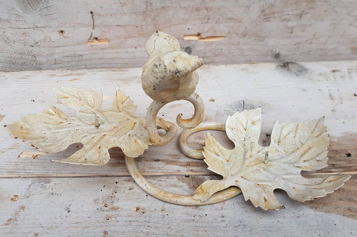 Rural candlestick bird white