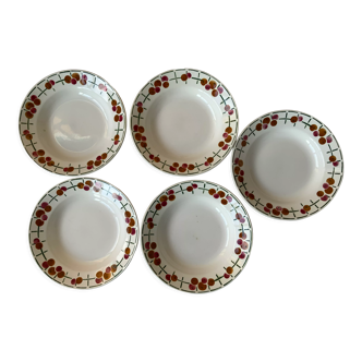 Assiettes terre de fer