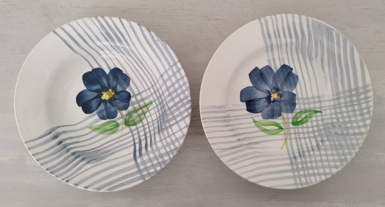 Soup plates soup pasta earthenware digoin sarreguemines vintage valentine model