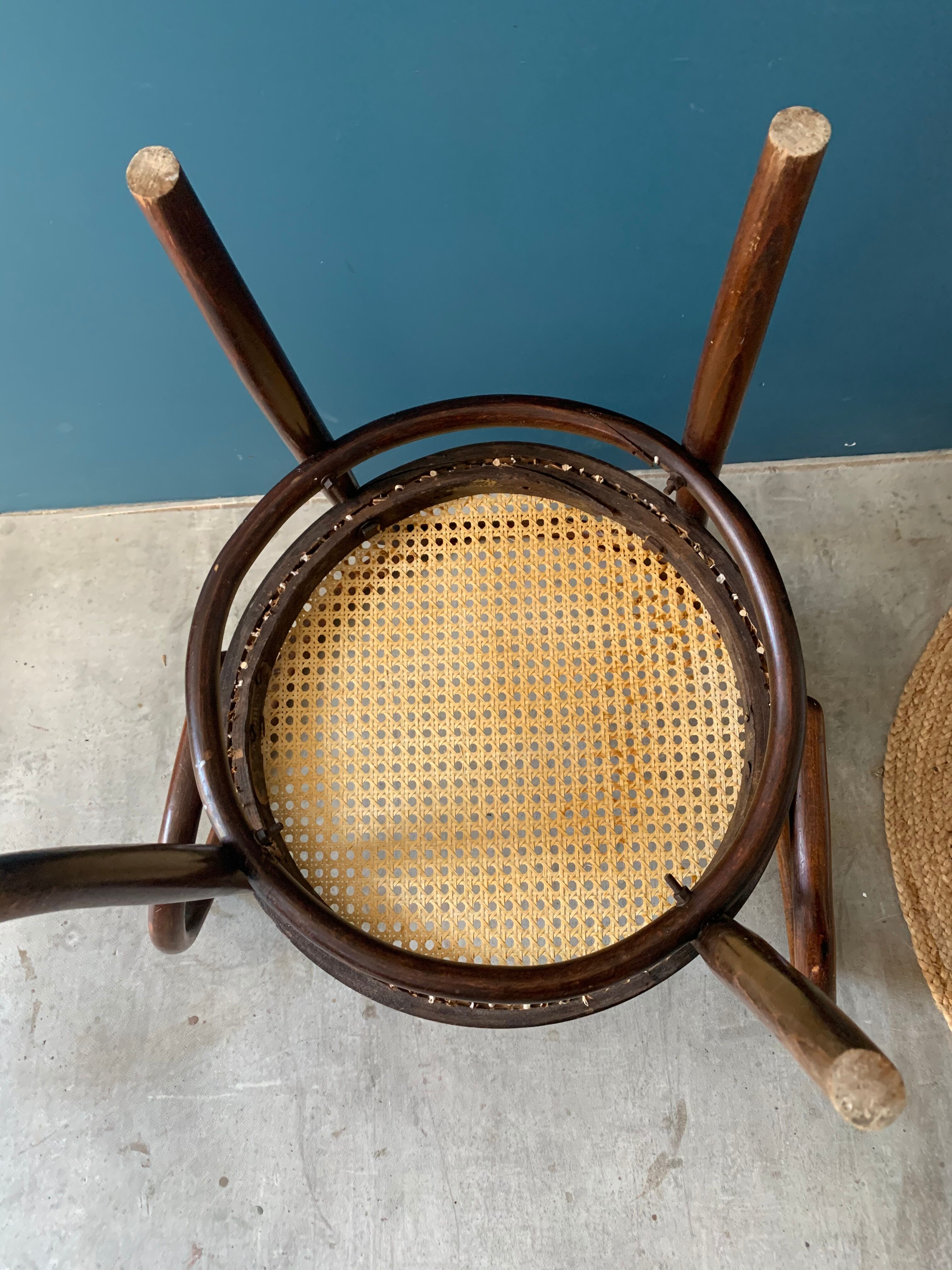 Mundus chair in curved wood