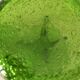 Duo de bougeoirs en verre bullé vert – Verrerie de Biot