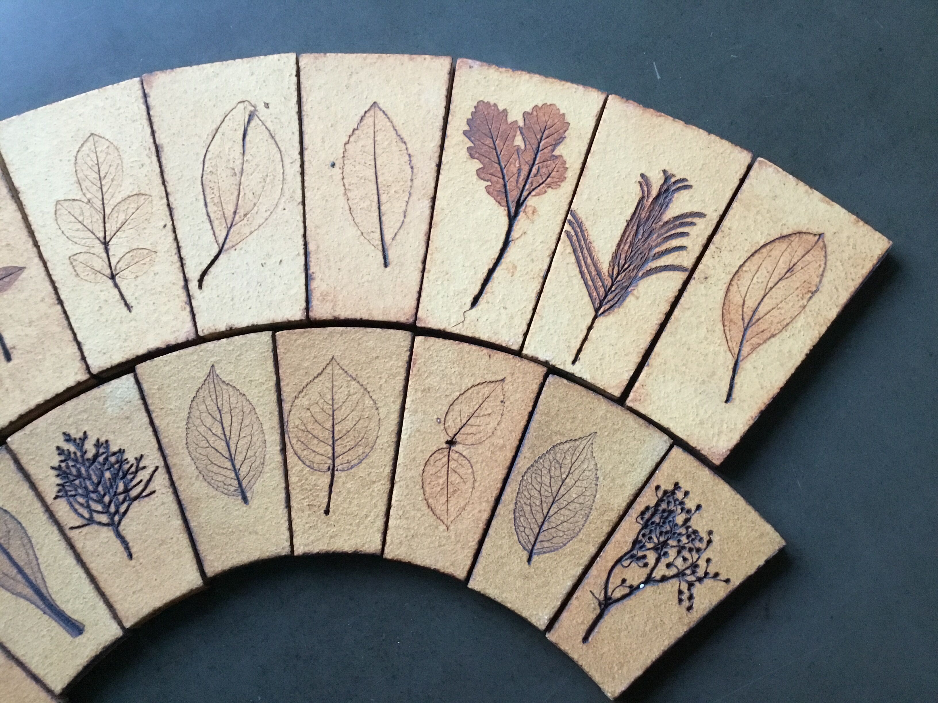 Carreaux herbier Roger Capron