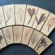 Carreaux herbier Roger Capron