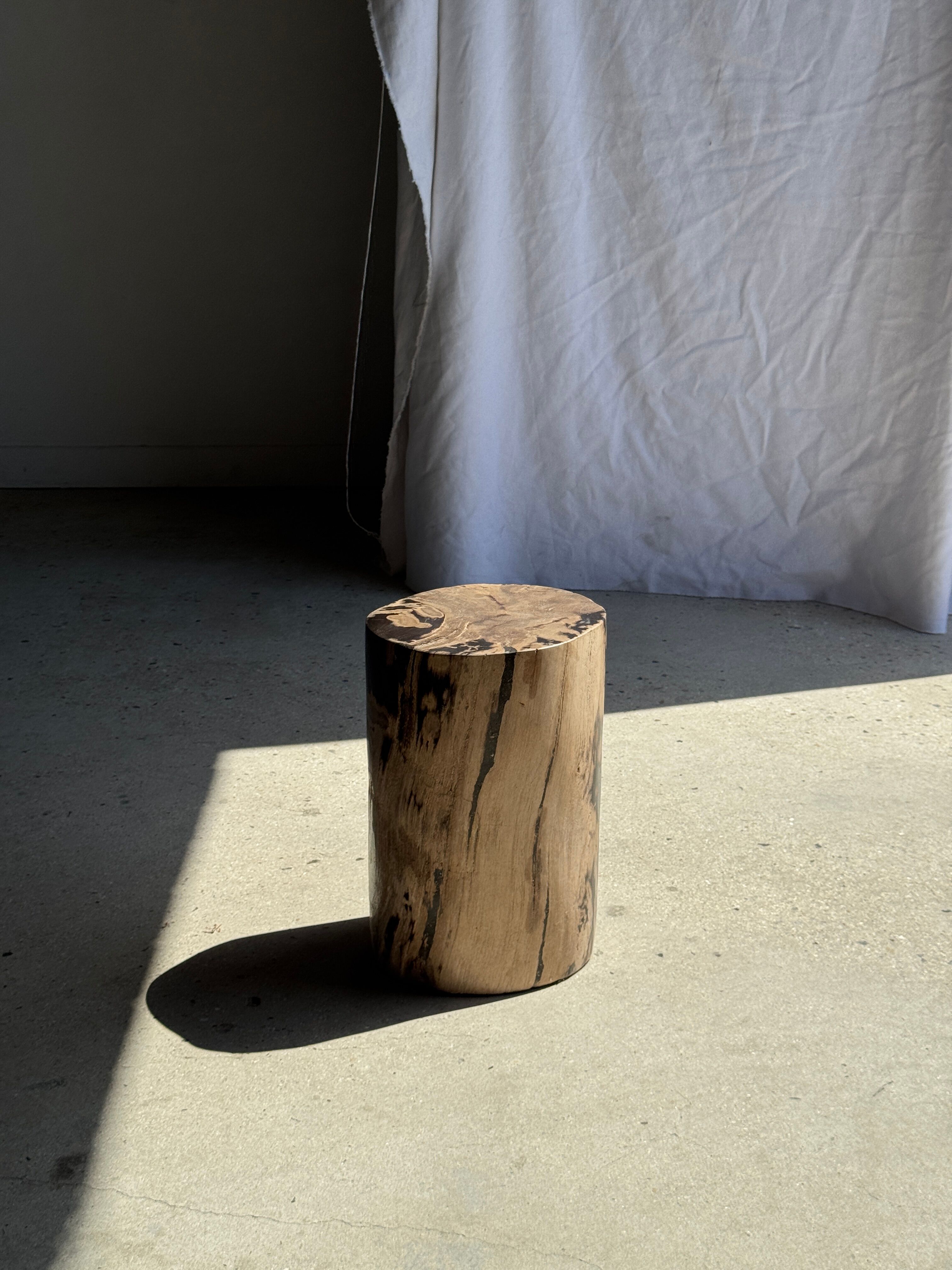 Brown and black petrified wood side table H35 D27 - 3333