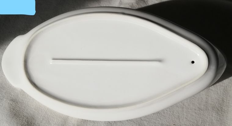 Goose-shaped porcelain foie gras dish