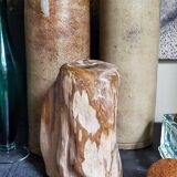 Free form sculpture in fossil wood
