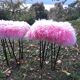 Tabourets rose