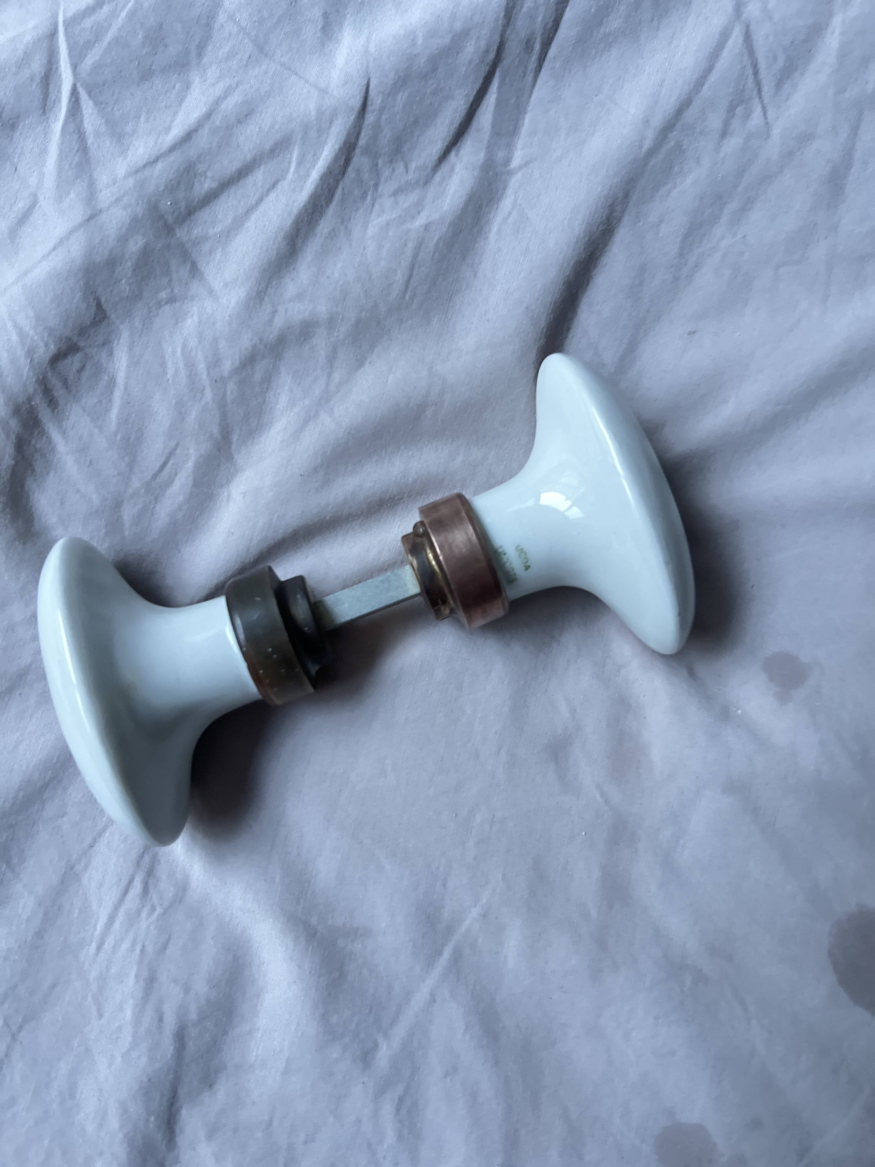 Boutons de portes en porcelaine de limoge (paire)