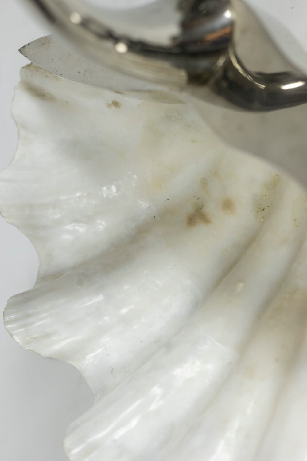 Binazzi House Swan in shell and silver bronze, circa 1970