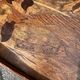 Art Nouveau period two-tiered tea table in veneered wood, signed Émile Gallé