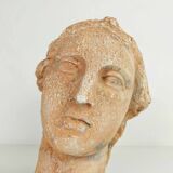 Head of Aphrodite In Platre