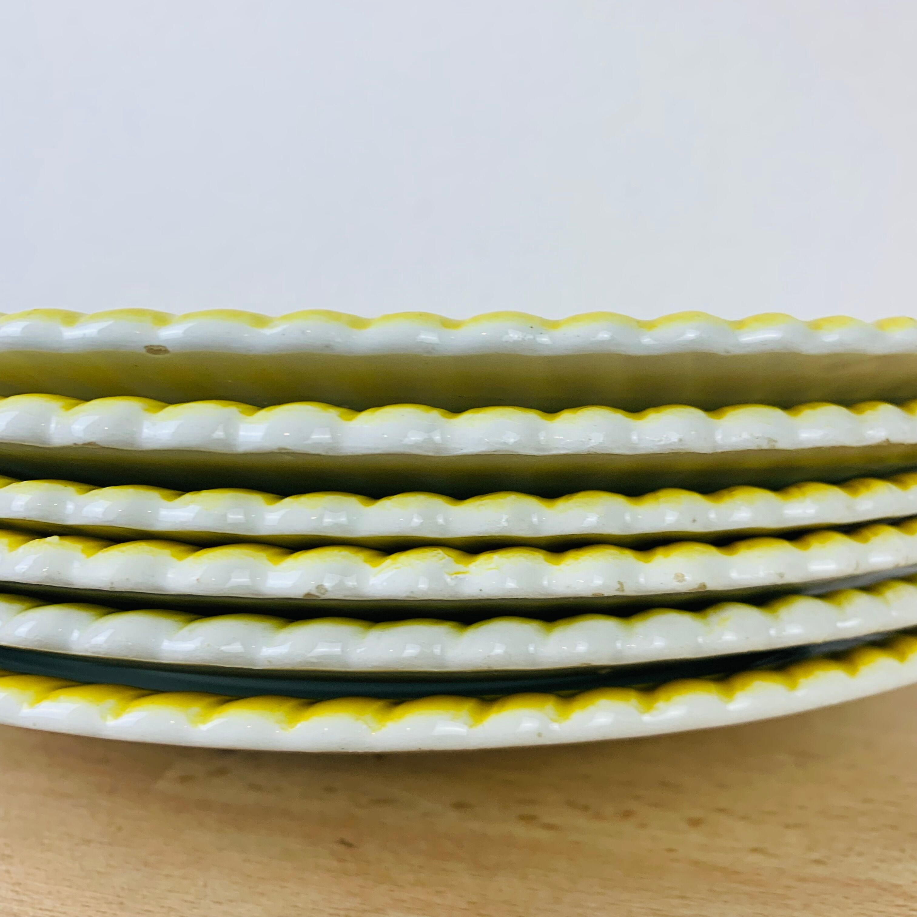 Set of 6 vintage earthenware dinner plates.