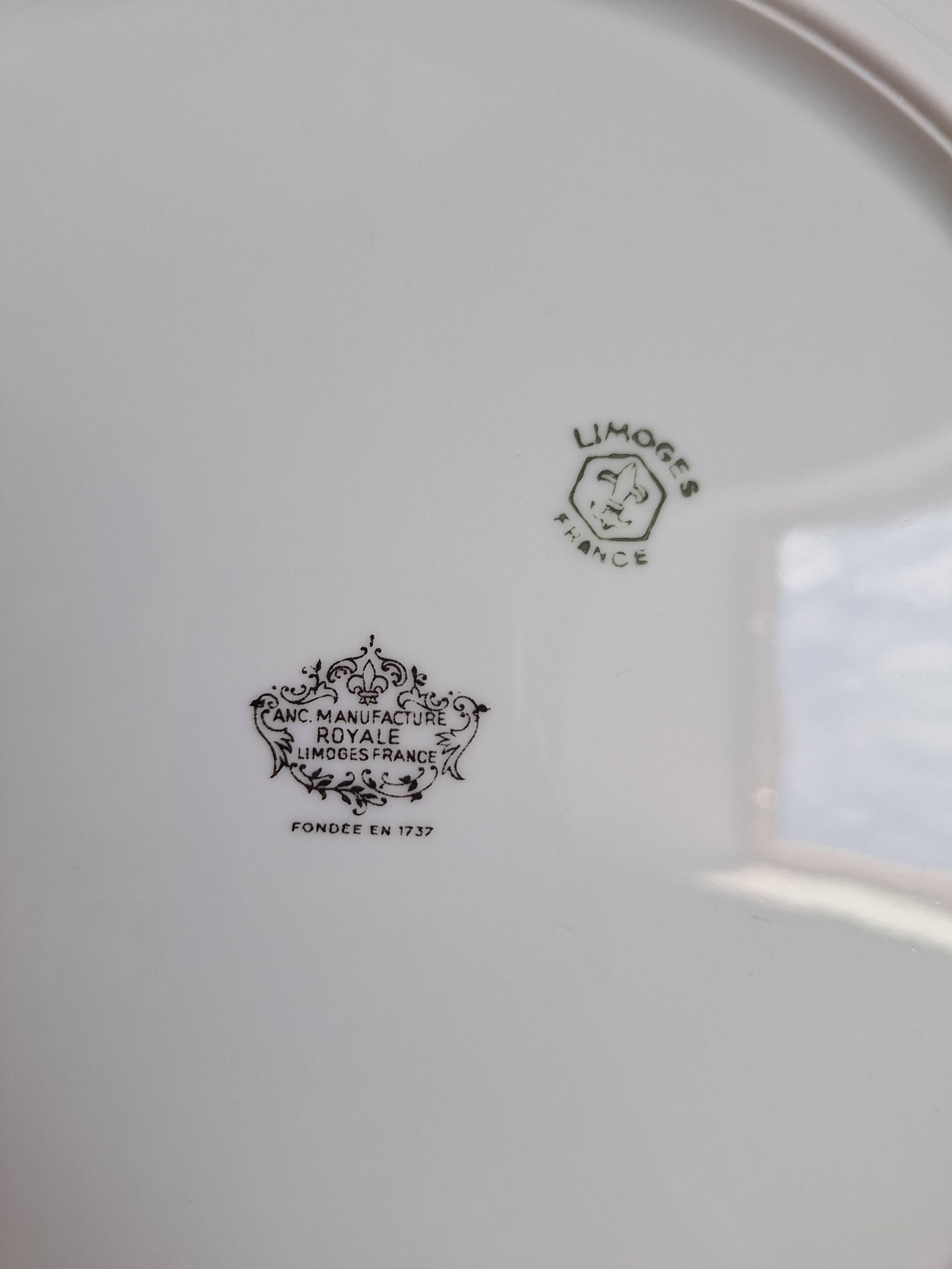 Vintage blue dinner plates