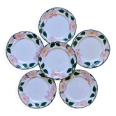 Assiettes Villeroy & Boch collection Wildrose peintes à la main