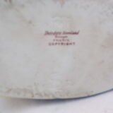 Pitcher Sandoz Havilland Penguin