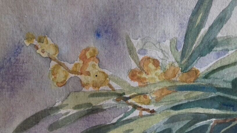 Ancient painting, watercolor with grapes